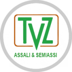 Логотип T.V.Z. S.r.l.